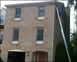 Bat exclusion in McLean VA