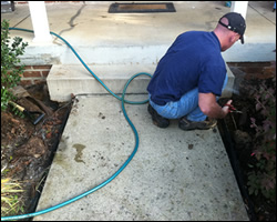 Dead animal removal McLean VA